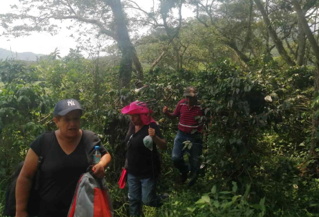 Exhuman dos cuerpos más en fosas clandestinas de Ixtaczoquitlán