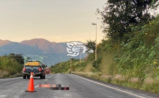 Hombre muere atropellado en autopista Orizaba-Puebla