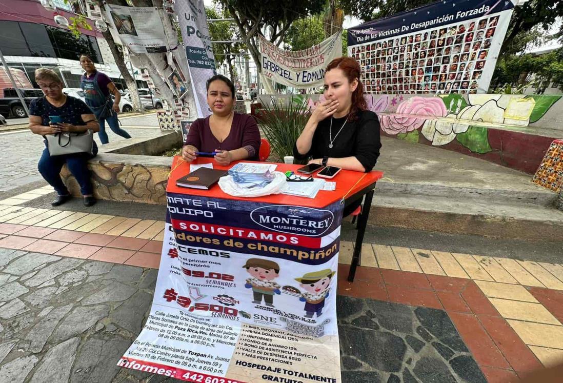 Empresas foráneas buscan mano de obra al norte de Veracruz