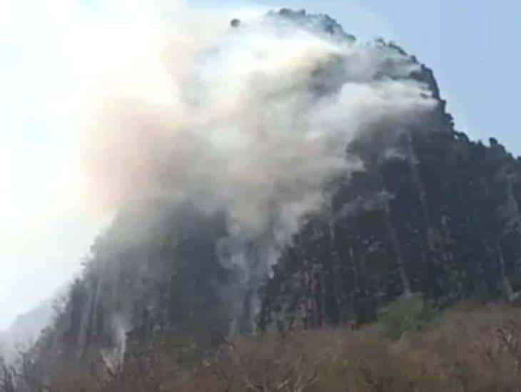 Nuevo incendio en Actopan moviliza a fuerzas de tarea