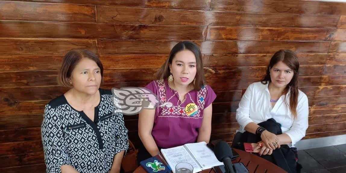 Acusan opacidad en manejo de recursos para atender violencia contra mujeres en Veracruz