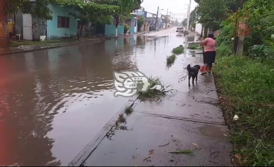 Sufren en El Playón Sur de Minatitlán, permanente inundación