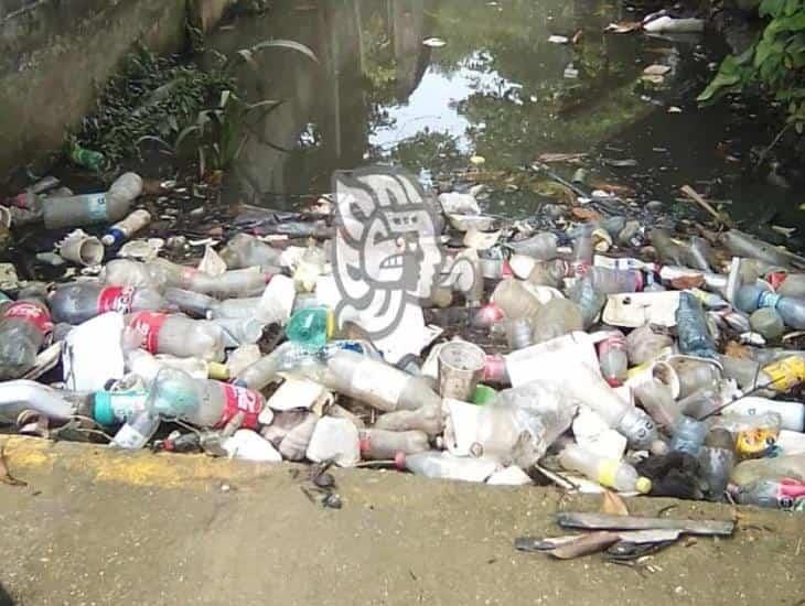 Mal manejo de desechos en Moloacán deja daños durante lluvias 
