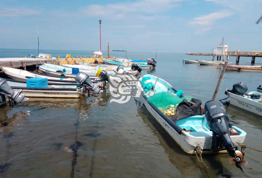 Pesca escasa propicia incursión de especies del sureste: Bernardo Hernández