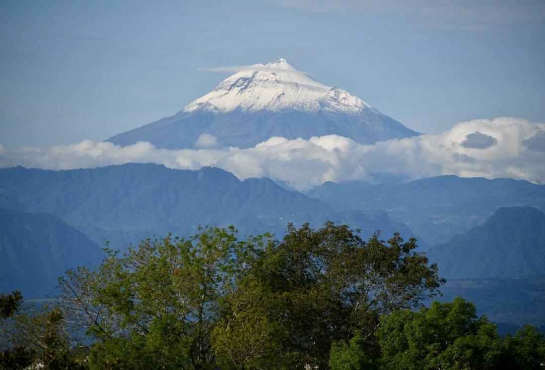 Silencioso negocio ilegal: tala se come al Cofre de Perote y al Pico de Orizaba