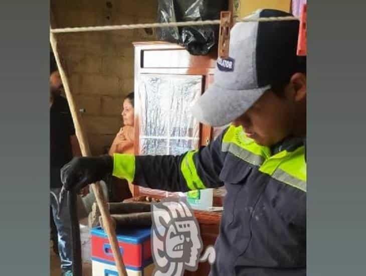 Captura PC víbora que causó pánico en vivienda de Acayucan