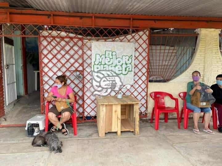 Realizan campaña de esterilización canina y felina en Jáltipan