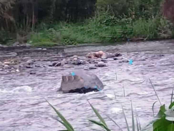 Lo encuentran flotando en Río Actopan 