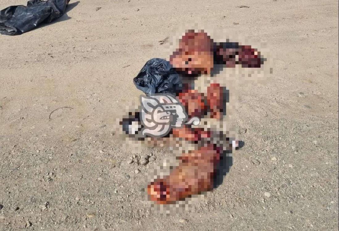 Crimen abandona cuerpo desmembrado frente a primaria en Isla