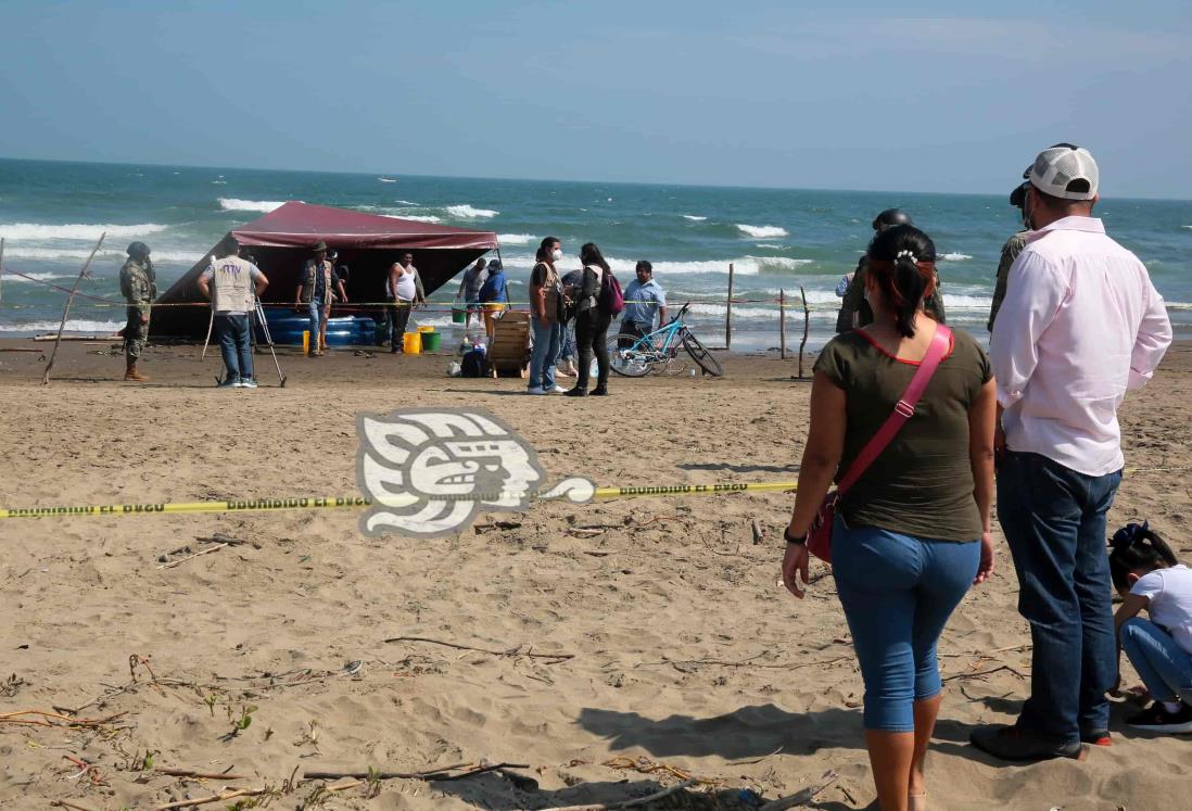 Consterna mortandad de especies marinas en playas de Coatzacoalcos