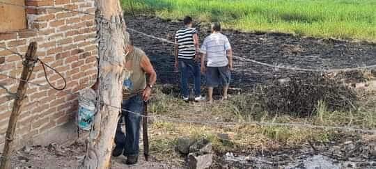 Se incendia pastizal en Tlalixcoyan