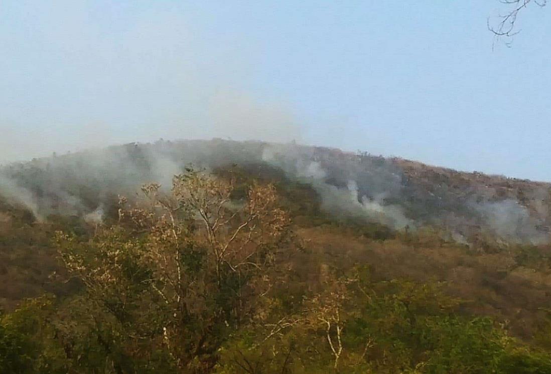 Incendio en Apazapan amenaza con extenderse a Carrizal