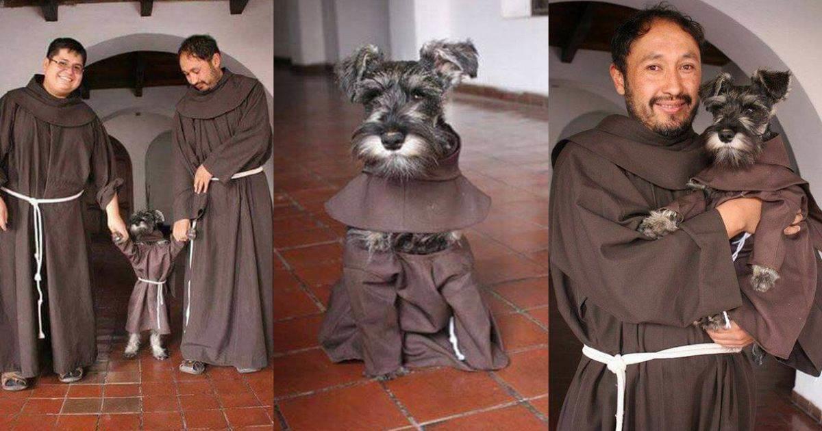 Fray Carmelo, el cachorro monje que se volvió una celebridad en internet
