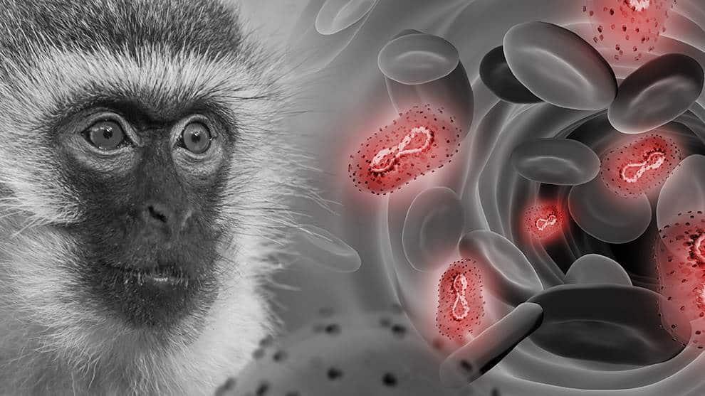 UNAM llama a alumnos a protegerse para evitar casos de viruela del mono en el plantel
