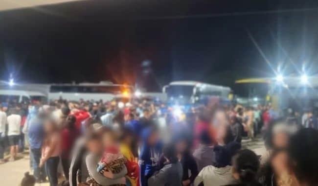 Localizan a más de 300 migrantes a bordo de cuatro autobuses en Veracruz