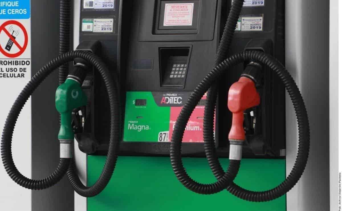 Veracruz, con la gasolina más baratas del país, informó Profeco