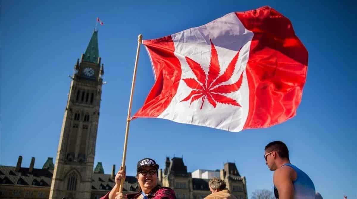 Canadá permite a compañía producir y comercializar diferentes narcóticos