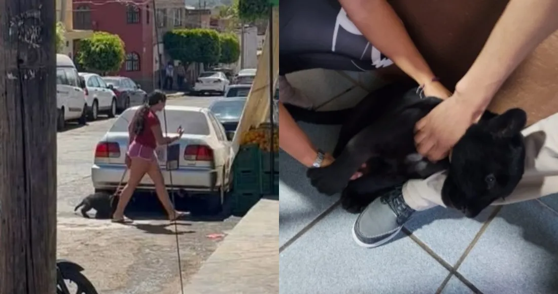 Captan a mujer paseando a bebé jaguar en Jalisco; Profepa rescata al ejemplar