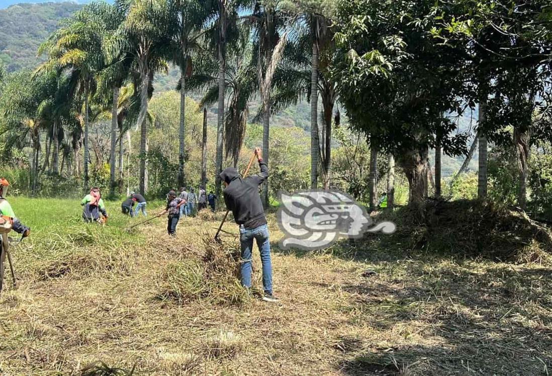 Colectivo limpia predio en Zona Centro de Veracruz para iniciar la búsqueda de fosas