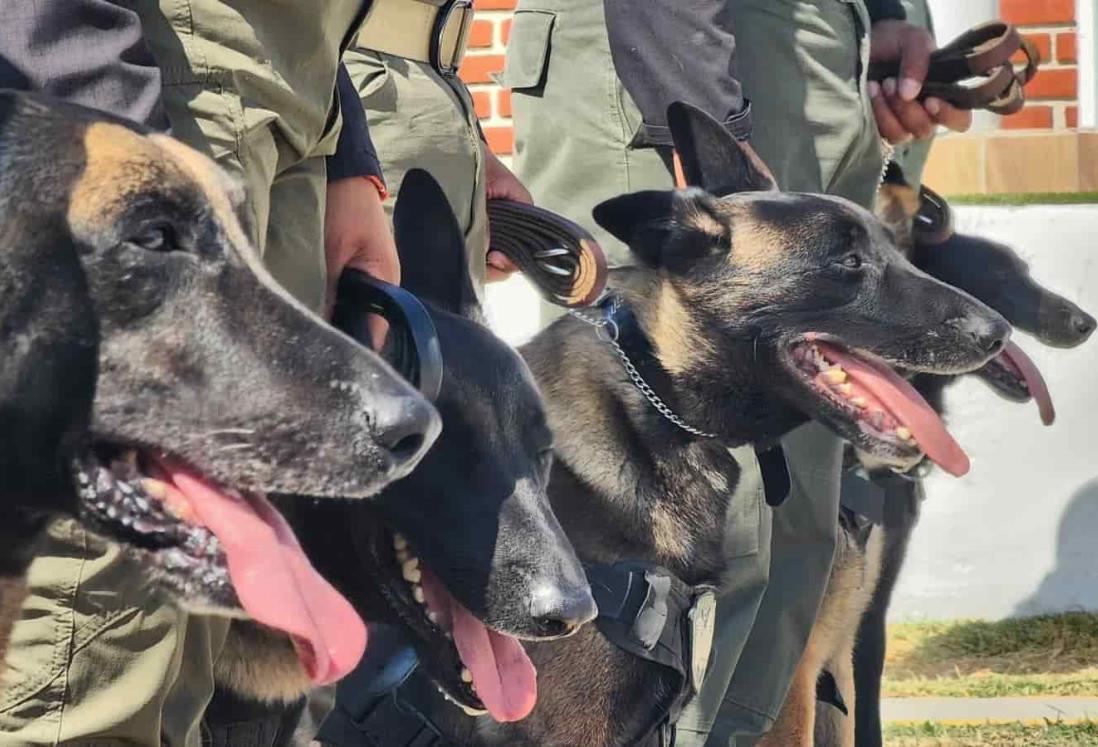 Rinden honores a 8 elementos caninos de la Fuerza Civil retirados en Veracruz