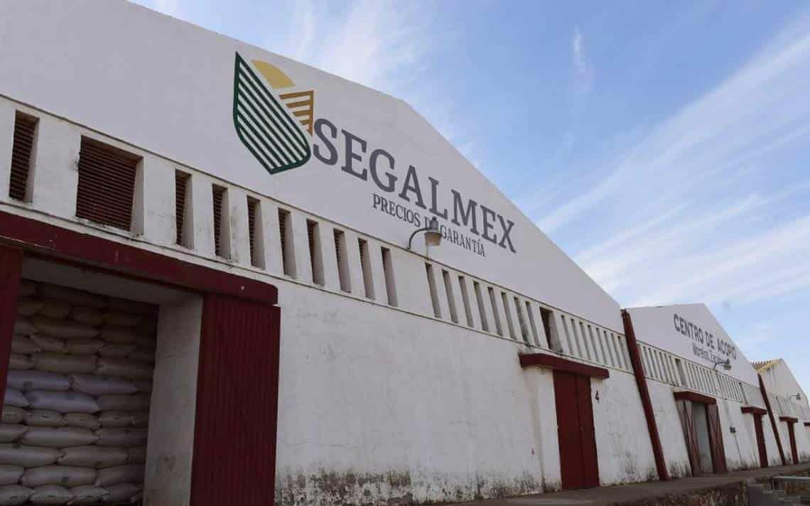 FGR gira órdenes de aprehensión contra 22 por millonarios desvíos en Segalmex