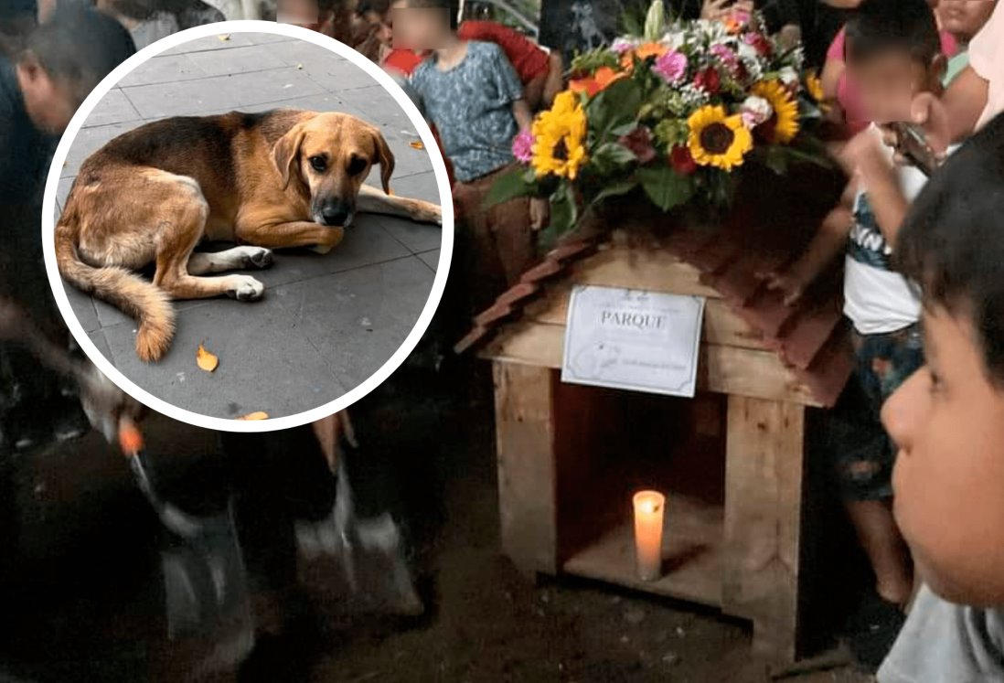 Muere “Parque”, mascota querida que adoptaron pobladores de Actopan; así lo despidieron