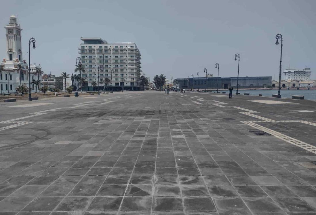 Veracruzanos reclaman falta de árboles en la Macroplaza del Malecón