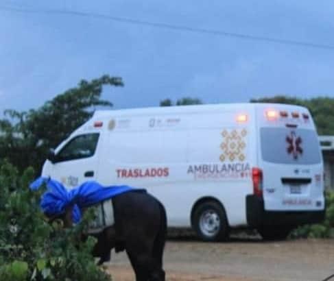 Suspenden servicio de ambulancia; es usada para feria de Veracruz