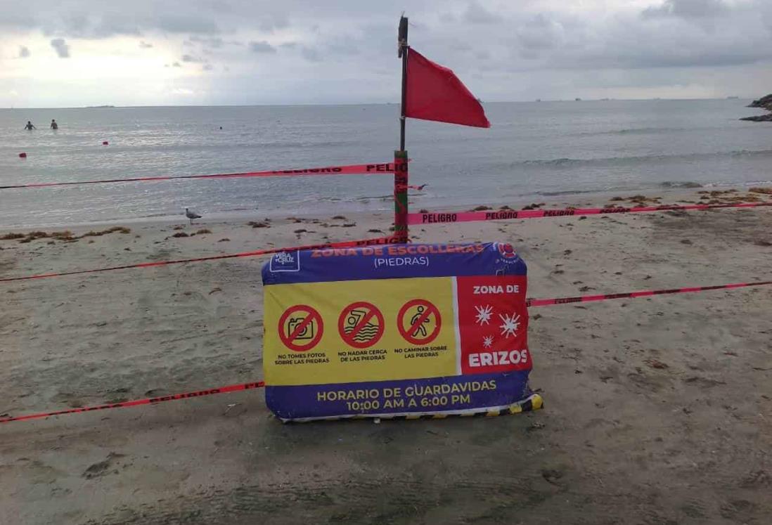 Colocarán bandera roja en playas de Veracruz por evento de norte