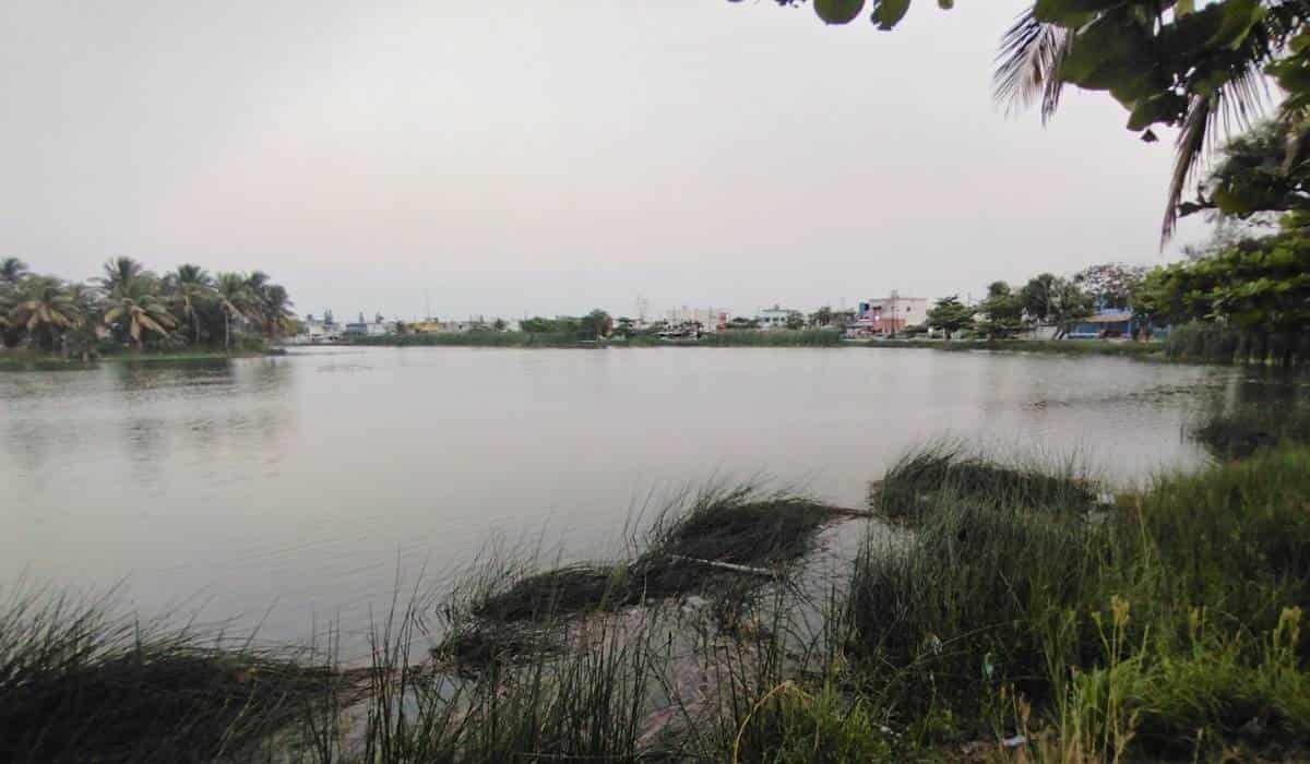 Vigilan lagunas de Veracruz para que no sean contaminadas