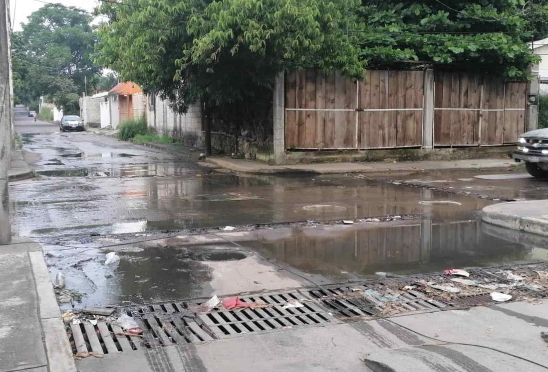 Sufren inundación por drenaje tapado en la colonia Las Bajadas, en Veracruz